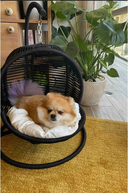 Cat/Dog Swing