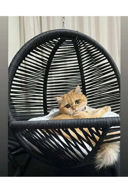 Cat/Dog Swing